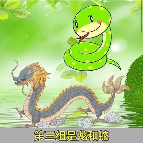 龙蛇后面属相是什么生肖