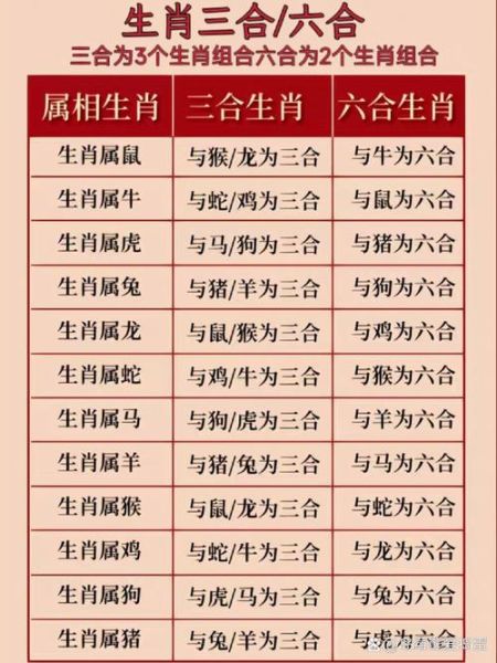 生肖龙找哪种属相好（生肖龙和什么属相最配最合适）