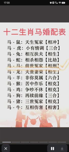 生肖马属相配对（生肖马和哪些属相最配？小白速查表）