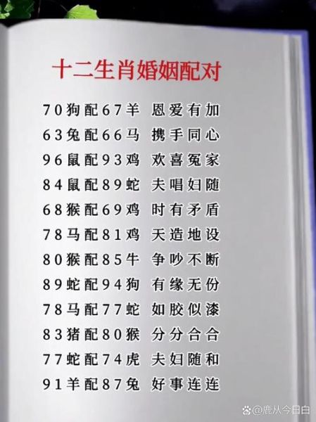 婚姻看属相还是看生肖的