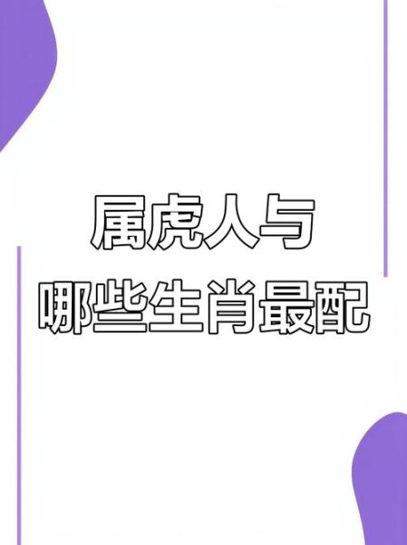 和生肖马相关的属相（生肖马最配的属相是虎吗？）