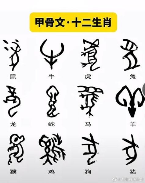 甲属相是什么生肖（甲属相是什么生肖🔍）