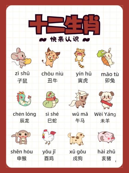十二生肖各属相拼音（十二生肖拼音读法教程）