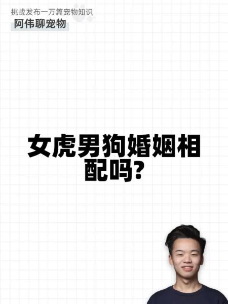 生肖属相狗与虎相配吗（属狗和属虎的合不合婚）