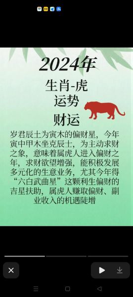 这是什么东东生肖属相