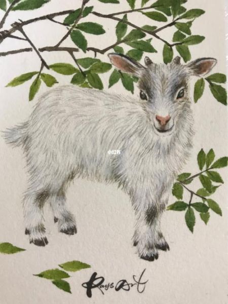 1943年属什么生肖属相（1943年属什么生肖？羊咩咩登场！）