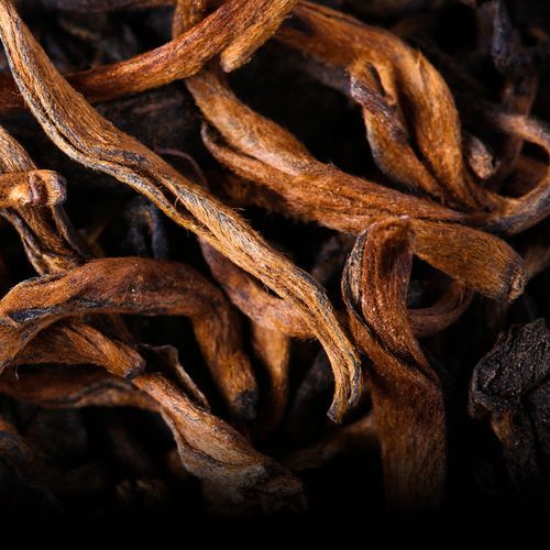 黎明属相什么生肖（黎明属什么生肖？新手一眼看懂）