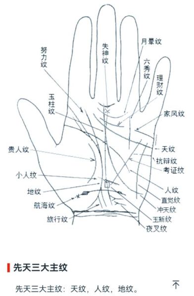 手相怎么看生肖属相（手相看生肖属相是真的吗）
