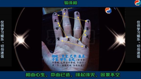 手相怎么看生肖属相（手相看生肖属相是真的吗）
